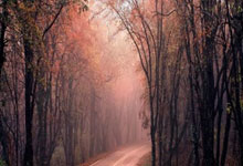 china是品牌吗,chinese是什么牌子