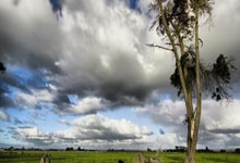 品牌汇集图,品牌图鉴