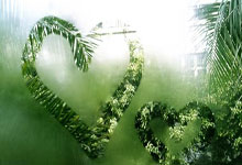 好材料的说说,好材料的说说文案